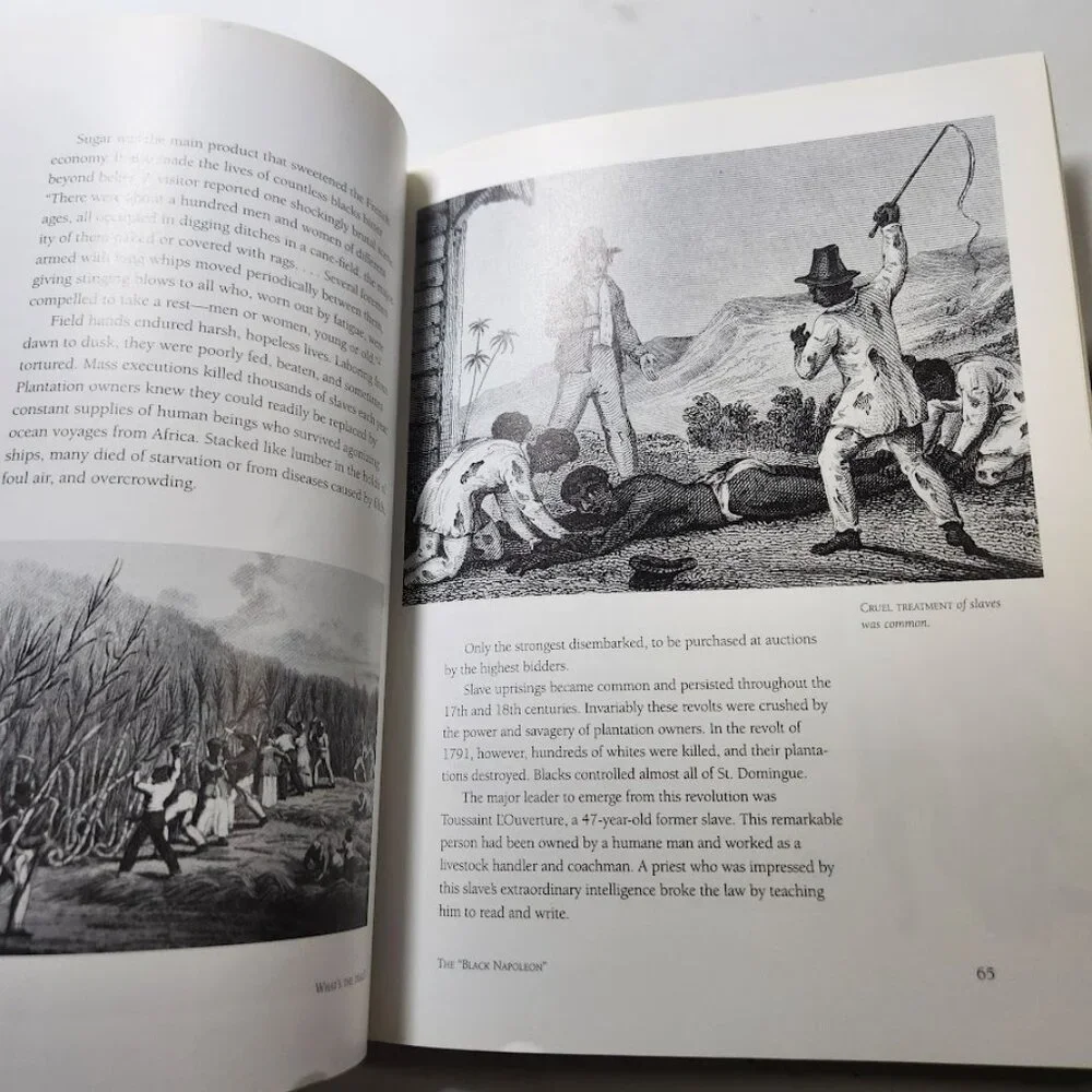 What's the Deal? Jefferson, Napoleon, and the Louisiana Purchase Paperback Book